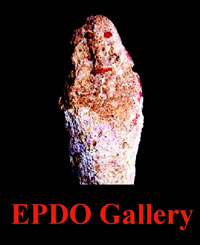 Museo EPDO Gallery